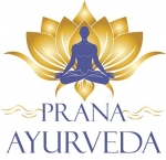 Vijaysar Ayurvedic Powder (Pterocarpus Marsupium) 